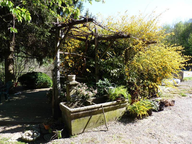 沙法涅庄园住宿加早餐旅馆 Saint-Léger 外观 照片