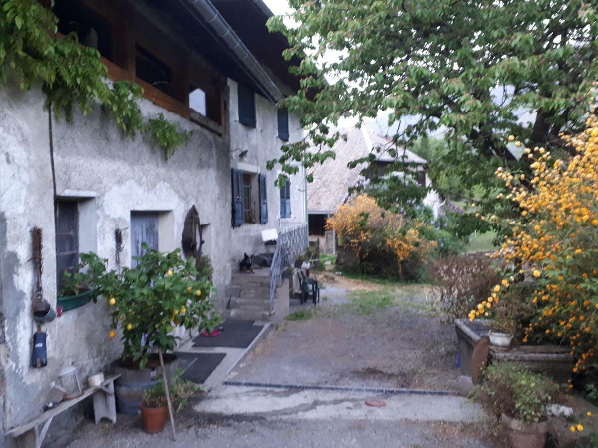 沙法涅庄园住宿加早餐旅馆 Saint-Léger 外观 照片
